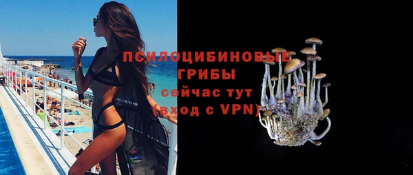 прущая мука Ветлуга