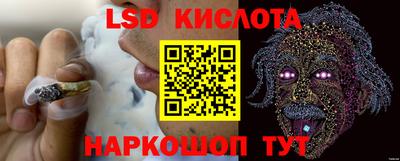 тгк Шебекино