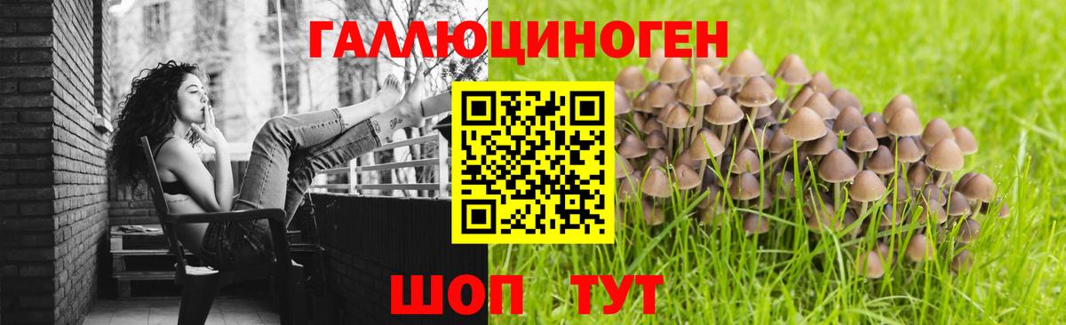 Беслан  Псилоцибиновые грибы Psilocybine cubensis  Вход с VPN 
